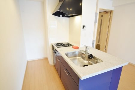 ロイヤルパークス豊洲  キッチン