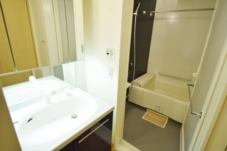 ロイヤルパークス豊洲  風呂画像