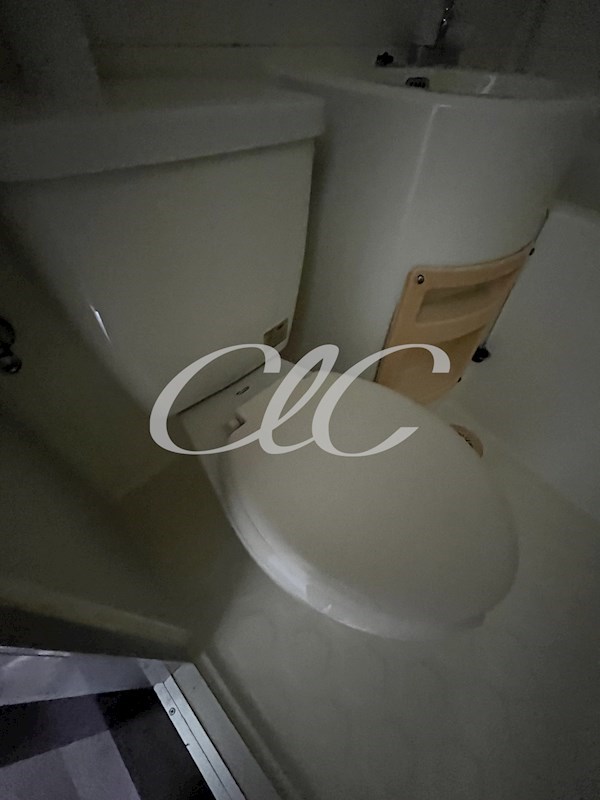 江川ハイツ その他1