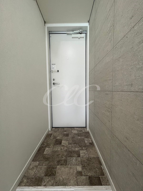 ルーエ亀有 玄関