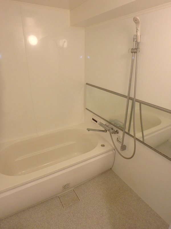 Daiwa Grace Maison 大島Ⅰ 風呂画像