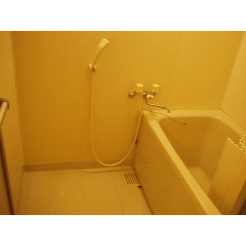 パレドール・タケダ 風呂画像