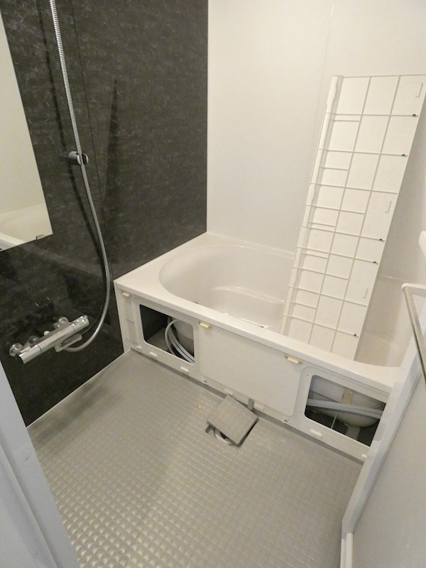 ティアラグレイス両国タワー 風呂画像