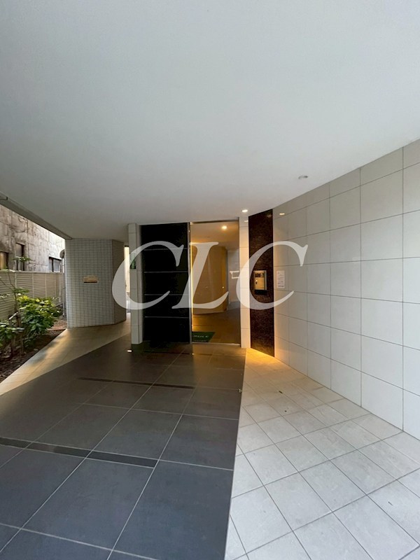 アウラデパリュール その他5