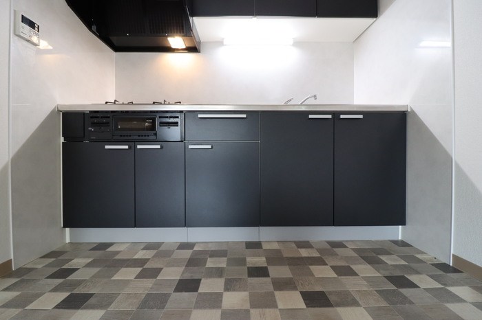 第2エコーピア キッチン