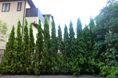 インペリアルパークⅠ その他10