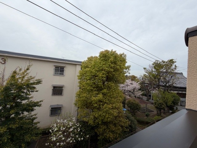 mi patio A棟 その他9