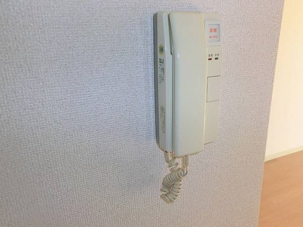 シャンブレッテ　パドドゥ その他3