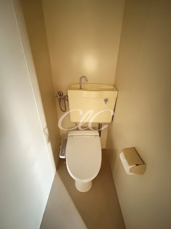 マスカットハイツ その他1