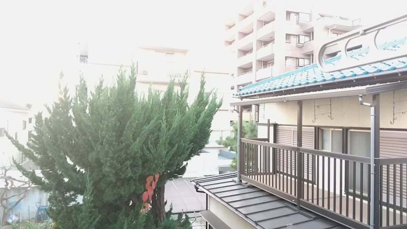 ロゼ２ その他5