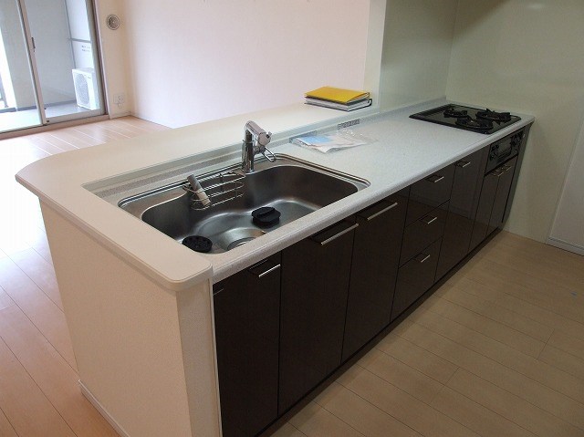 ロイヤルパークス新田 キッチン