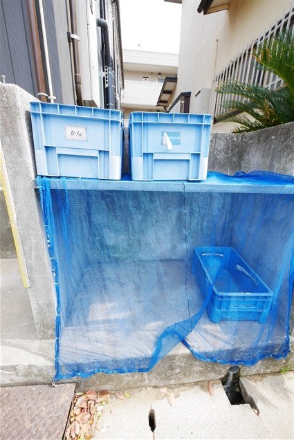 ロゼ２ その他7