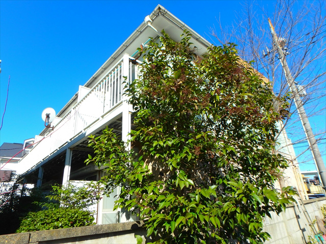 ライジングサンハイツ  外観