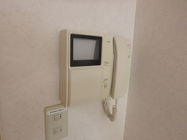 ザッパ その他2