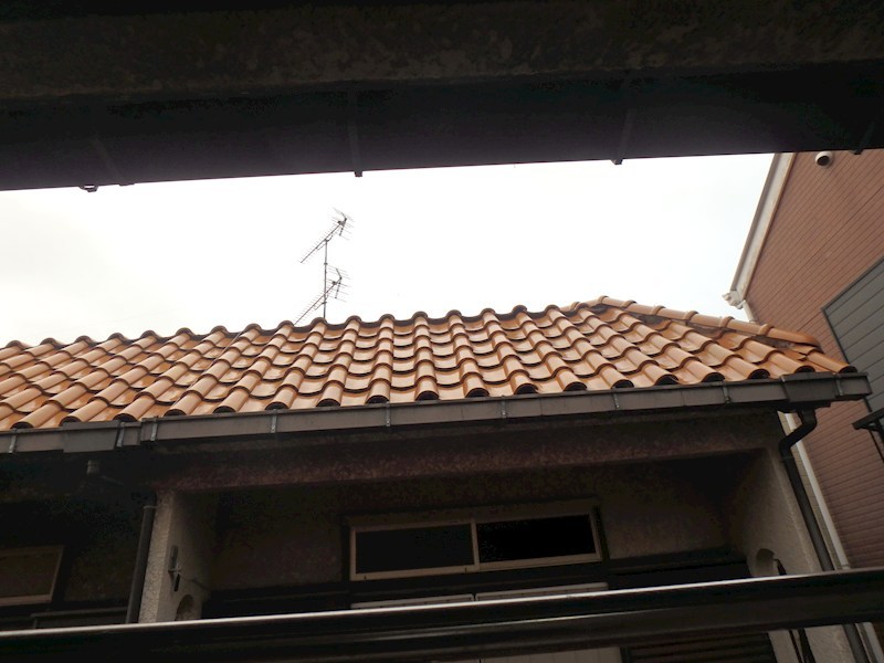 リリィテラス その他6