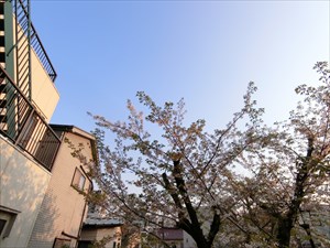 Ｎ&amp;rsquo;ＳＢＯＸ     その他4