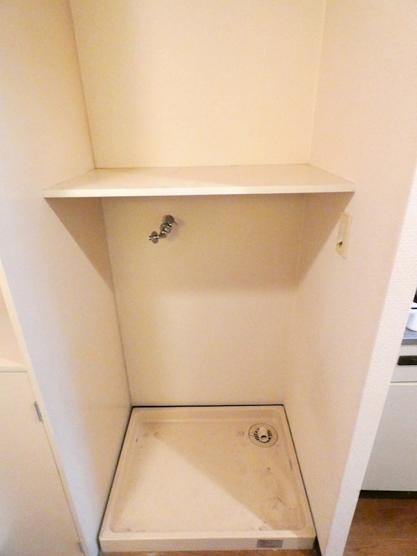 シーダⅡ その他7