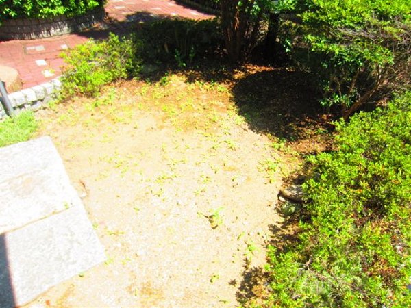 メンバーズヒル一ツ家  その他4