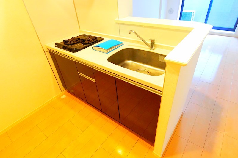 メゾン・ドゥ・ソレイユ その他8