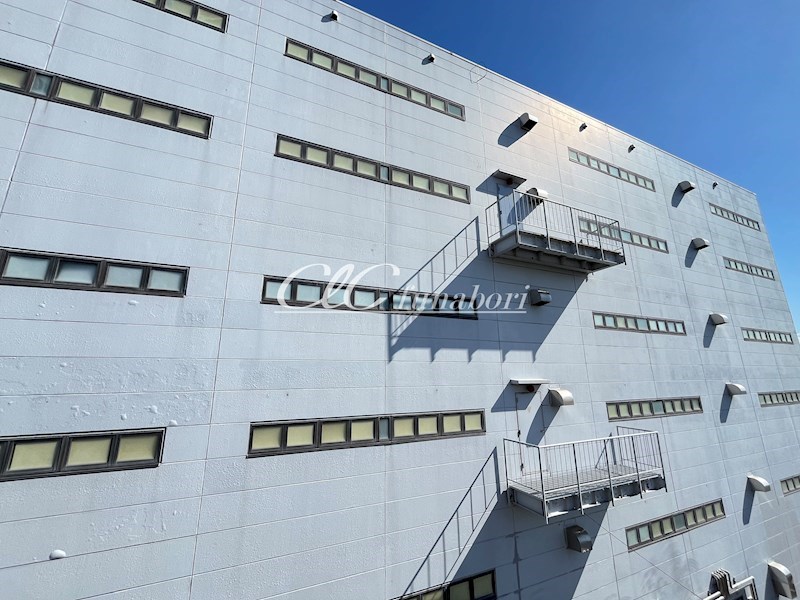 松栄ビル その他2