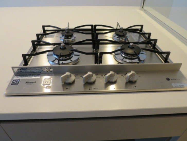 ブランシエスタ駒込 その他5