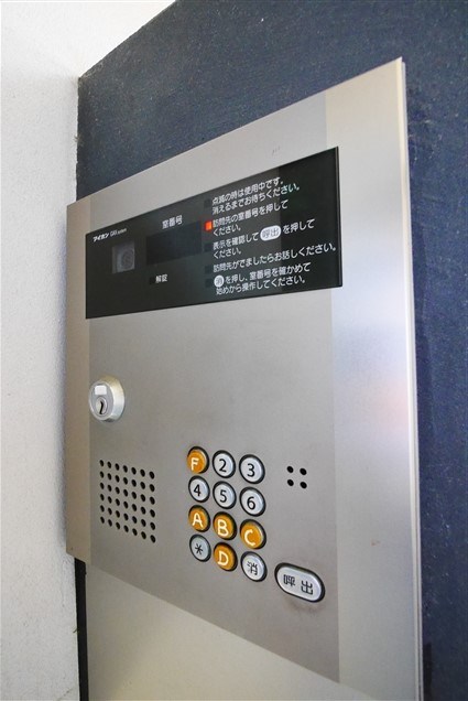 ツリーハウス その他13