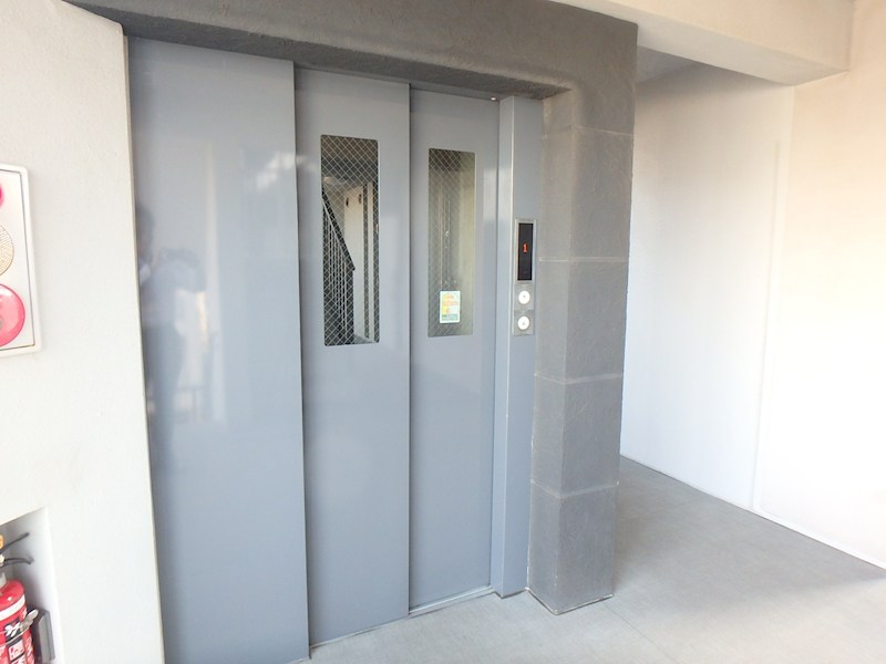 ツリーハウス その他11