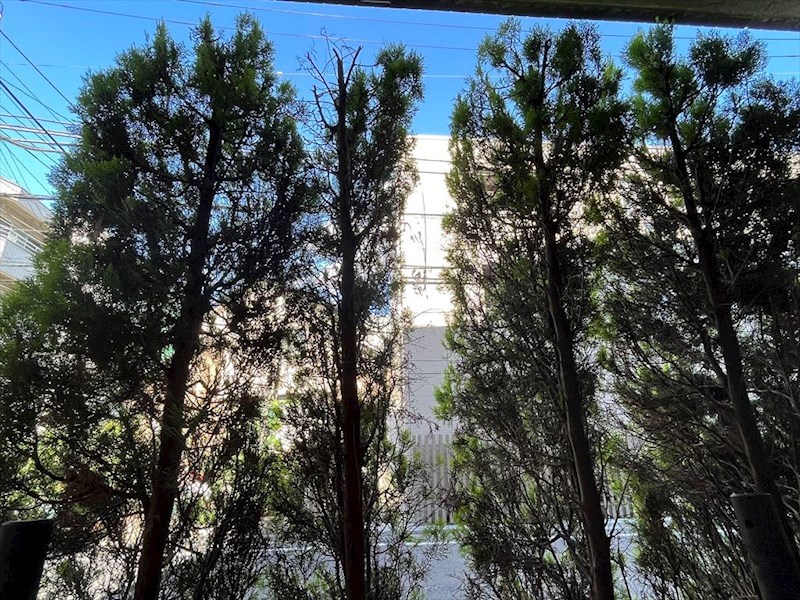 ヨウコースクウェア田端 その他8