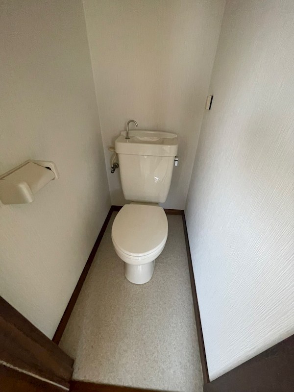 岸ペナテス その他1