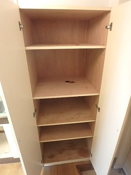 オリーブ その他1