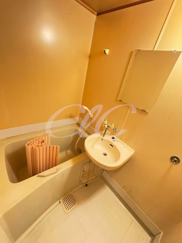 ジュネス東和第二 風呂画像