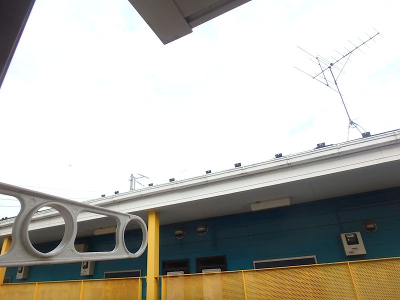 パールハイム晴和 その他5