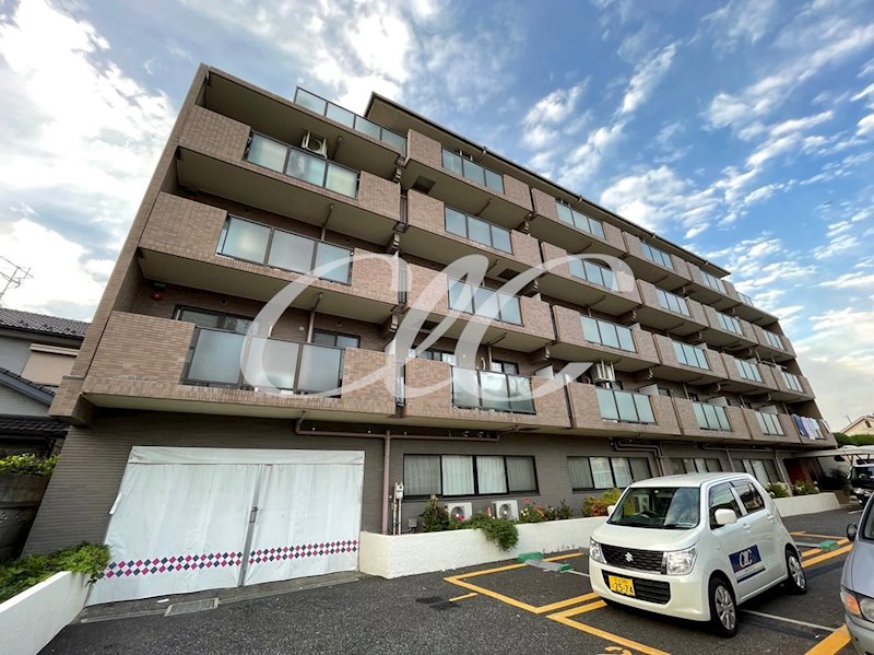 サンライズ伊興 外観