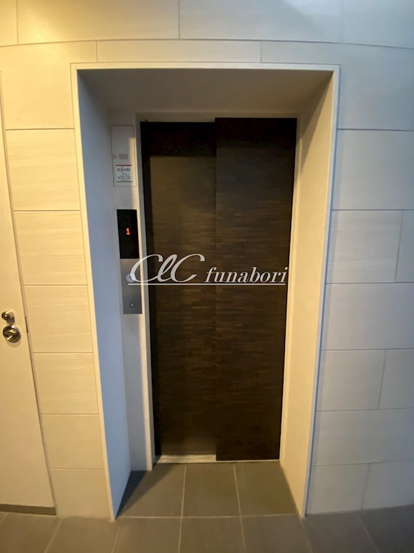 GranVeil-K その他10