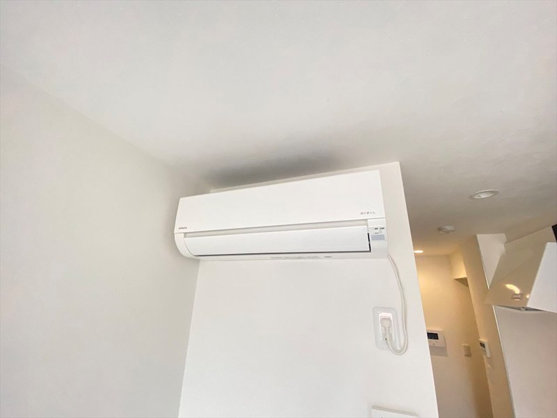 BOASORTE KAMEIDO その他7