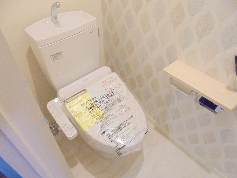 Ｐｌａｉｓｉｒ　Ⅱ その他3