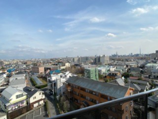 ヴェルジェ扇 その他5