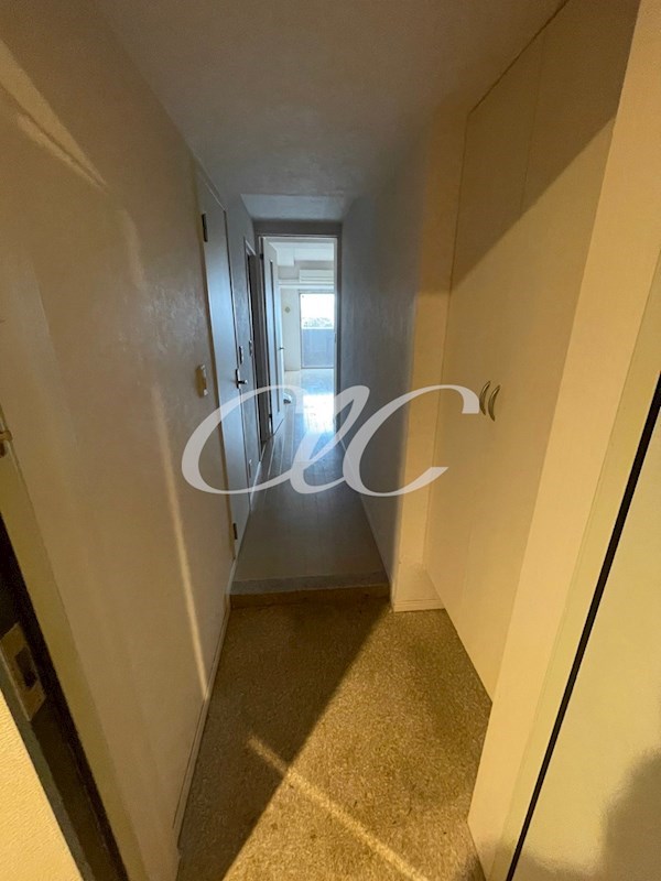 ロイヤルＫＪ 玄関