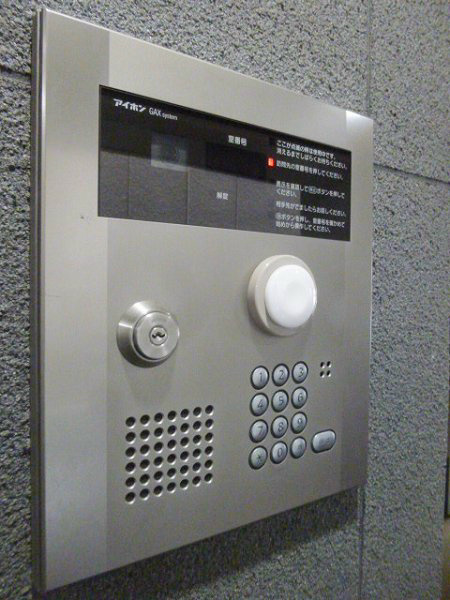 パールピアス その他2