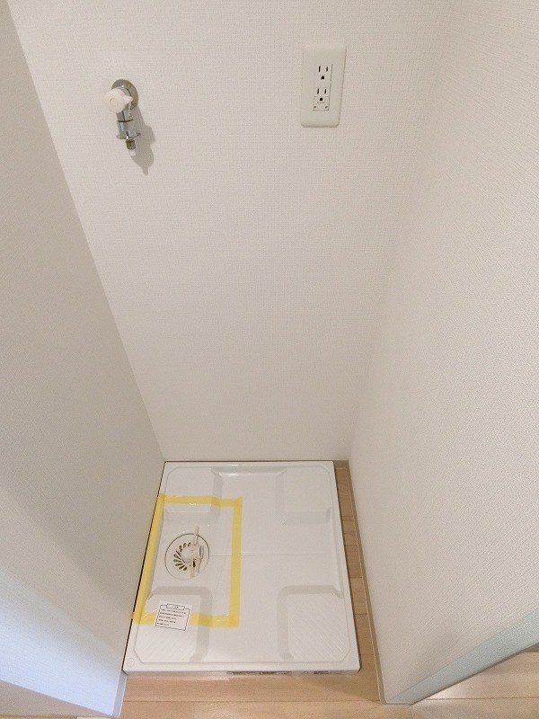 グレースランド その他2