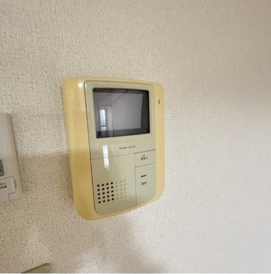 パールピアス その他7