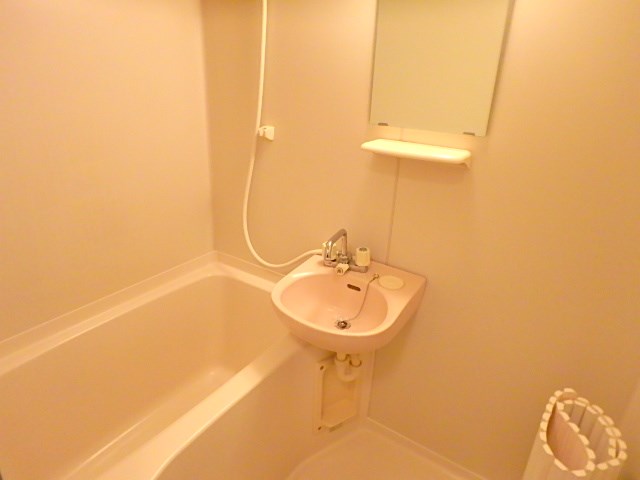 パイニーメゾン清澄 その他6