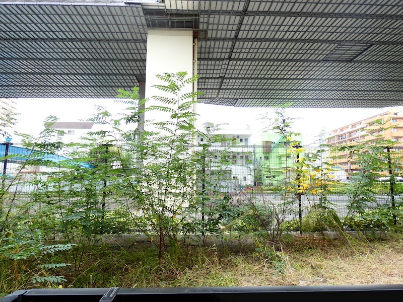 ビバーチェ  その他10