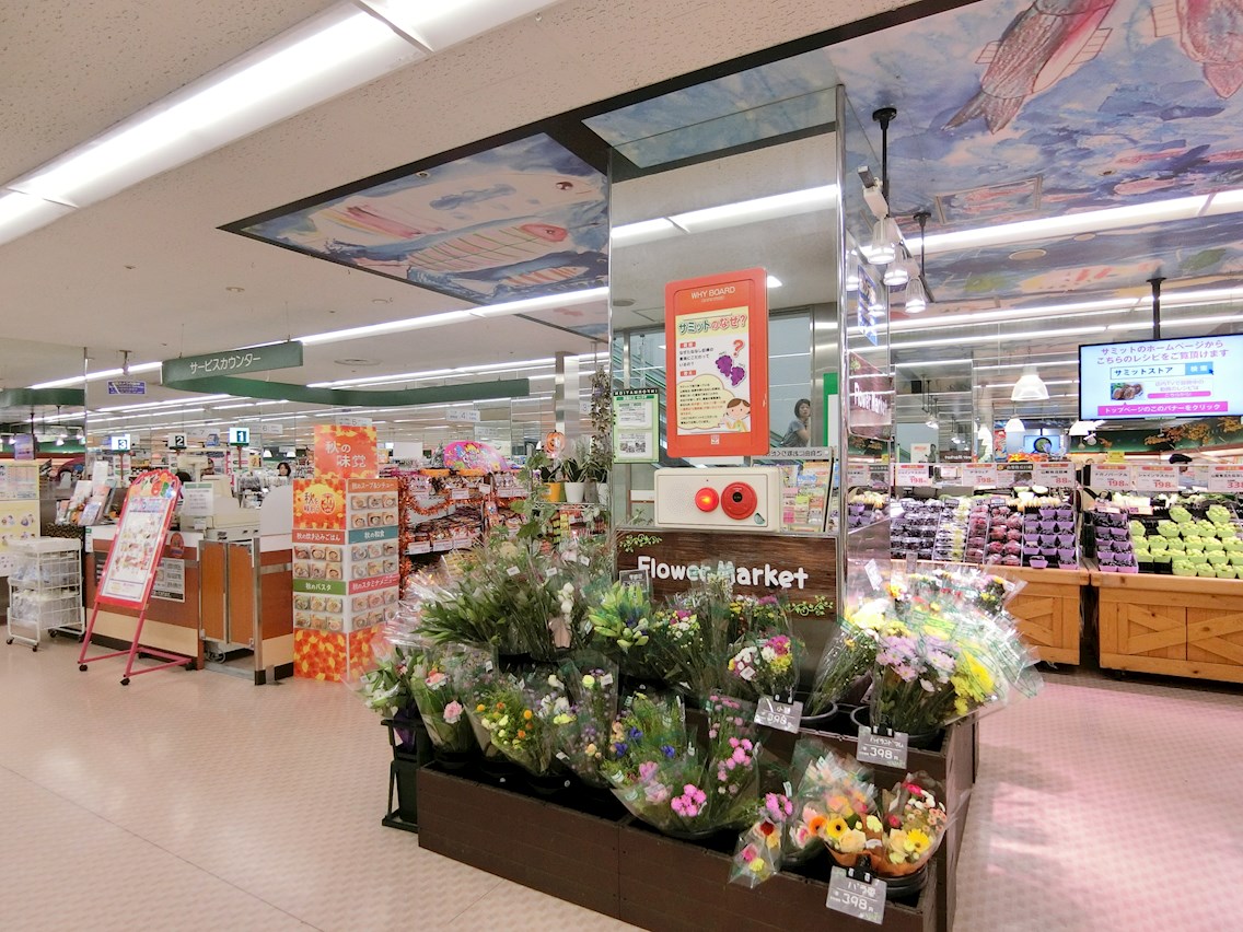 ハイネス瑞江 周辺画像6