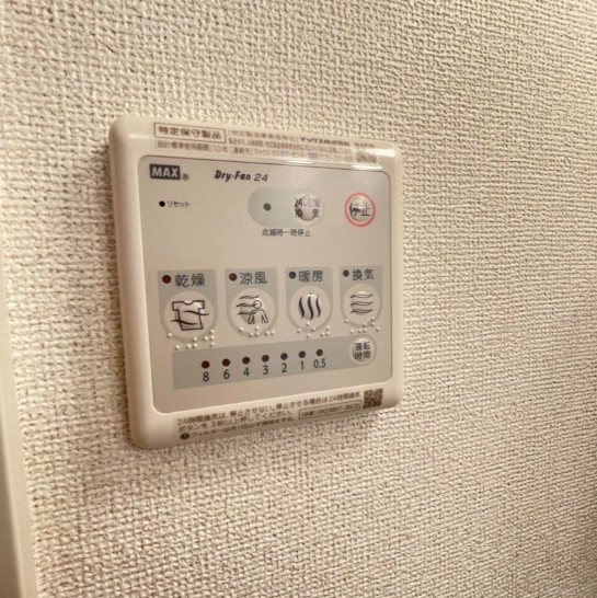 パールピアス その他3