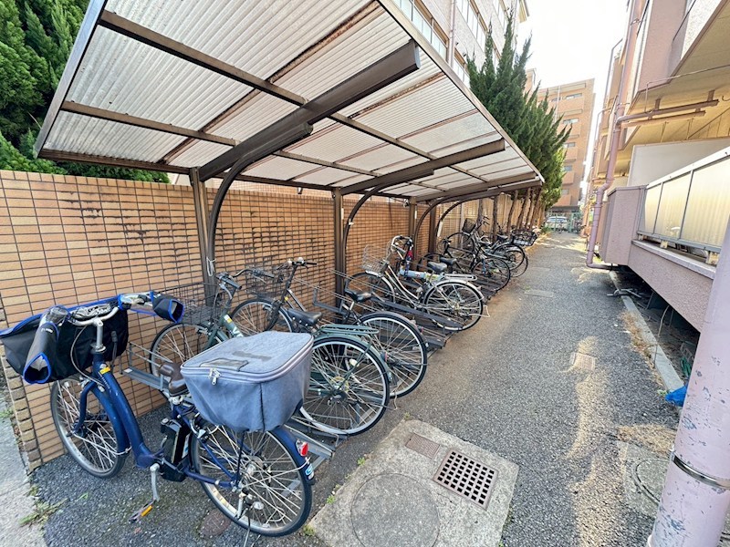 ゴールデンフラット その他2