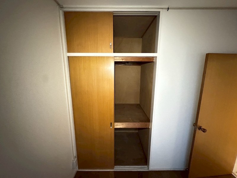 ゴールデンフラット その他5