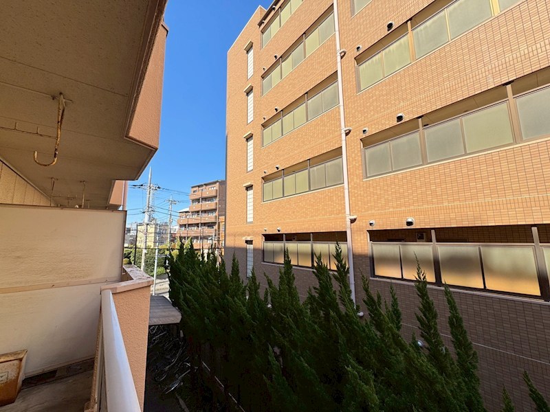 ゴールデンフラット その他6