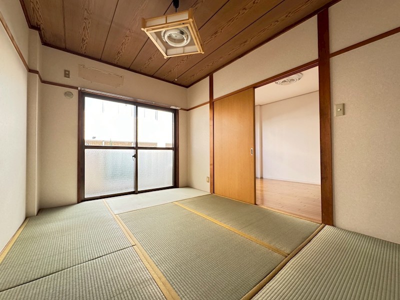 ゴールデンフラット その他11