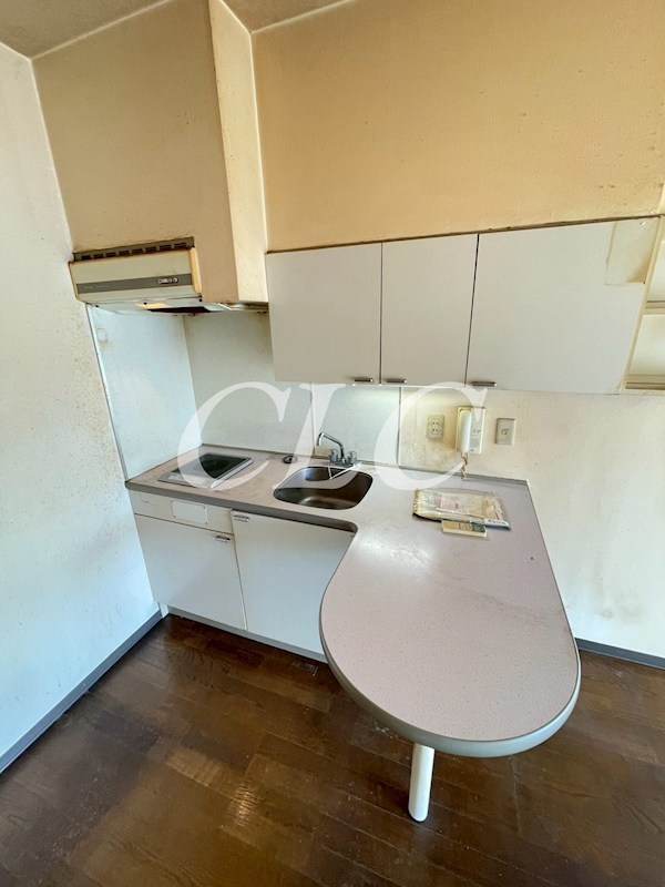 カーサグラン東向島 その他4